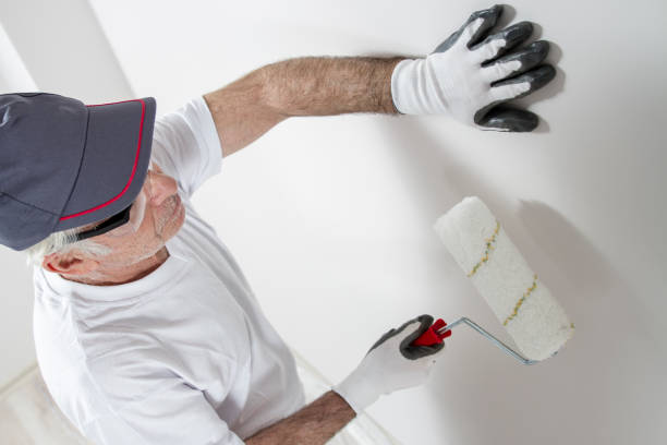 Best Mold Odor Removal Services  in Fern Acres, HI