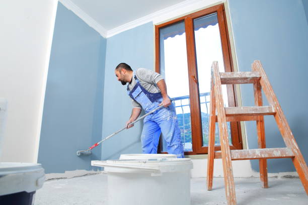 Best Residential Mold Inspection & Testing  in Fern Acres, HI