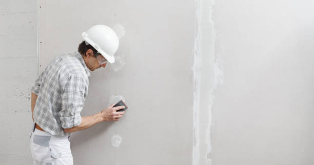 Best Biohazard Mold Removal  in Fern Acres, HI