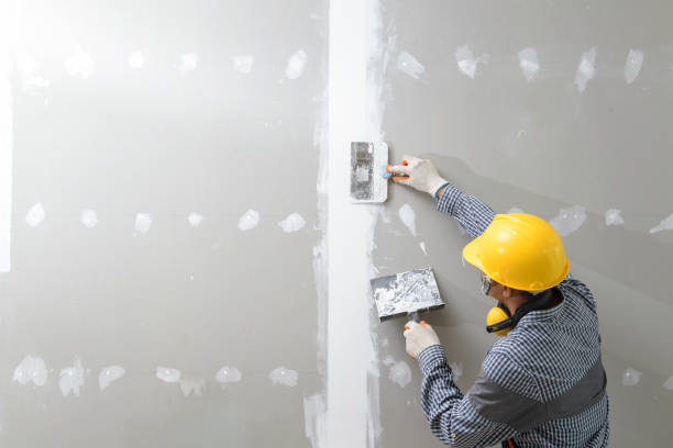 Mold Remediation for Vacation Homes in Fern Acres, HI