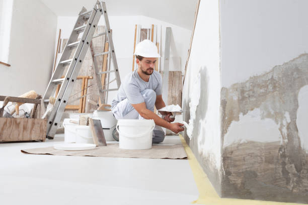 Best Black Mold Removal  in Fern Acres, HI