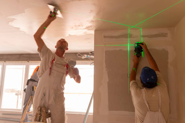 Best Mold Prevention Services  in Fern Acres, HI