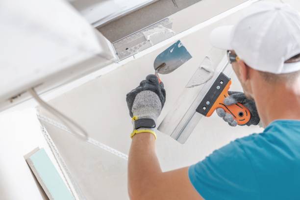 Best Mold Remediation for Vacation Homes  in Fern Acres, HI